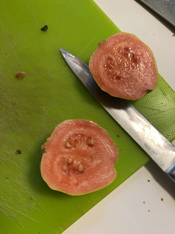 A6C92CBC-F156-4850-BFD1-15E81E73D6AF