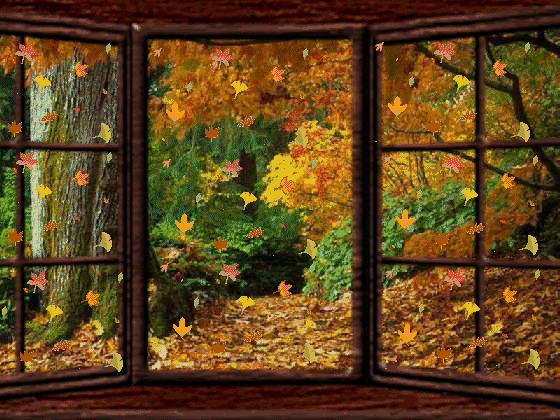 Leaves-Falling-Window