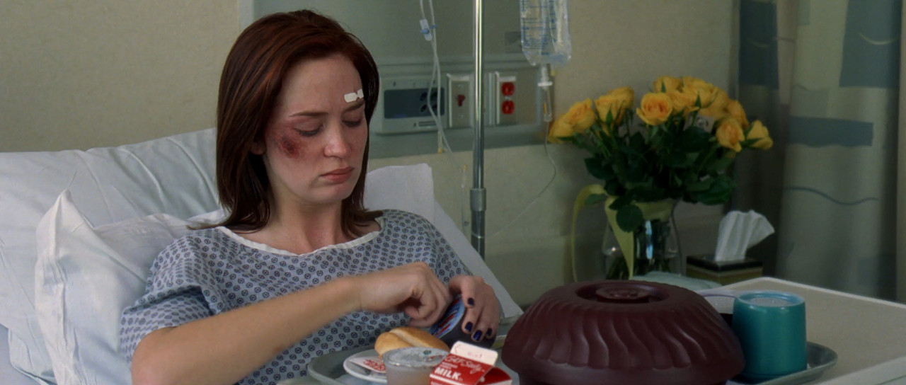 The Devil Wears Prada 2006 BluRay [Hindi + English] 1080p 480p 720p ESub Screenshot