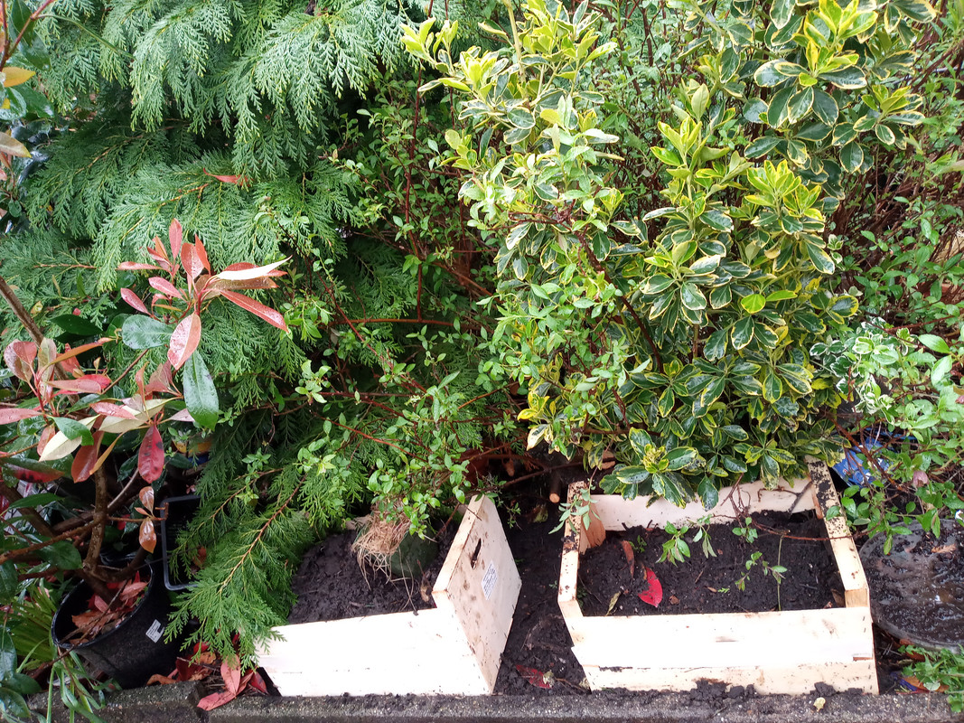 [Image: 20220405-173237.jpg]