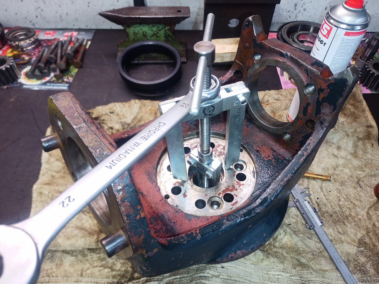 IMG 20251229 165954 844