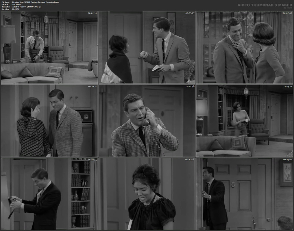 Dick Van Dyke S03E10 (Turtles, Ties, and Toreadors).mkv