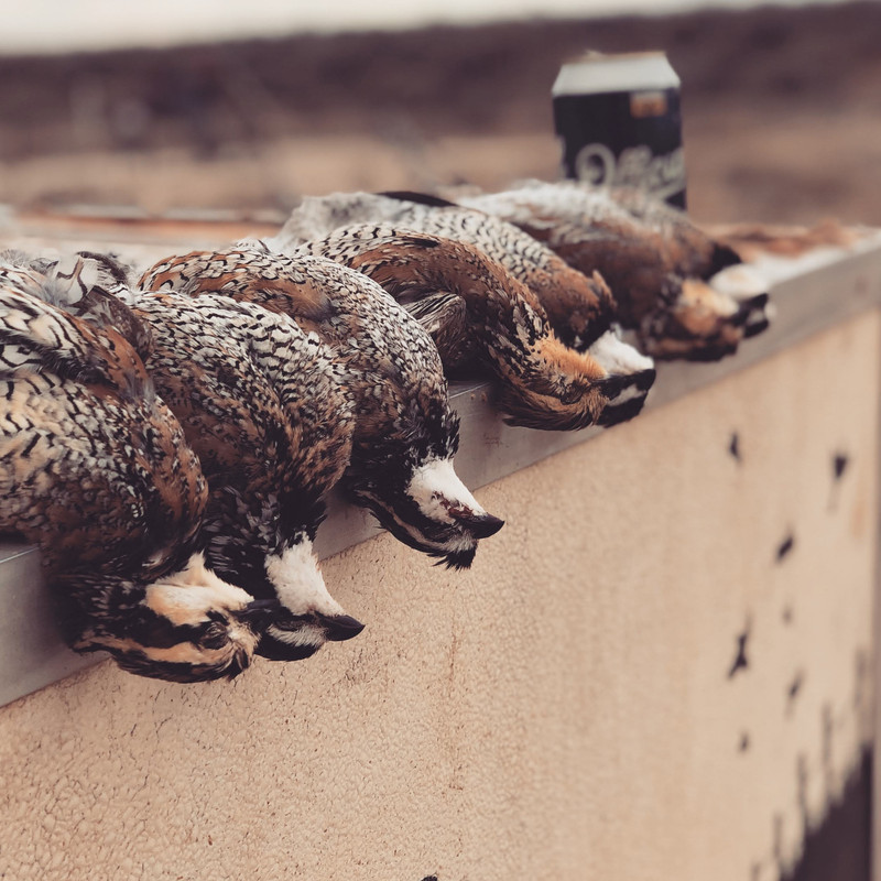 632DFE05-BA8F-45E8-B4D2-23062F56C68D