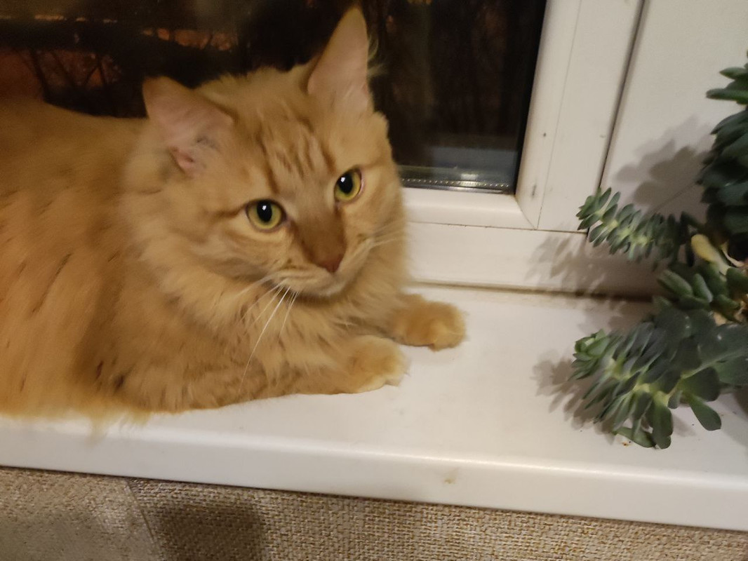 IMG_20230923_113824_291