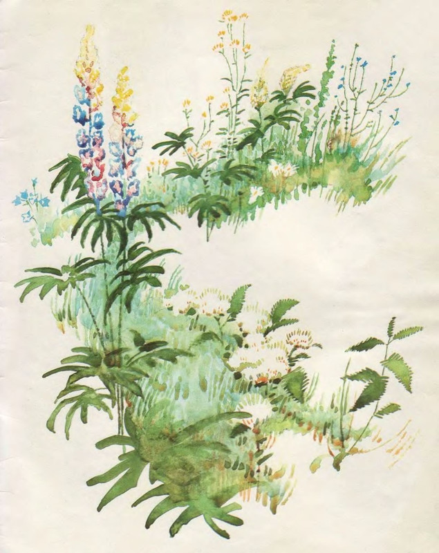 p0027