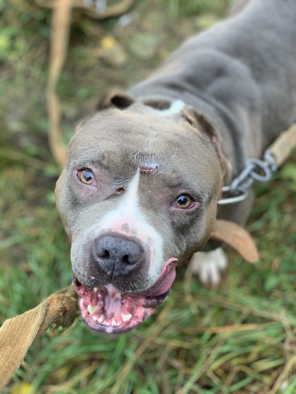 E25FDA9D-232F-4A64-AB22-74ECE4E9550D