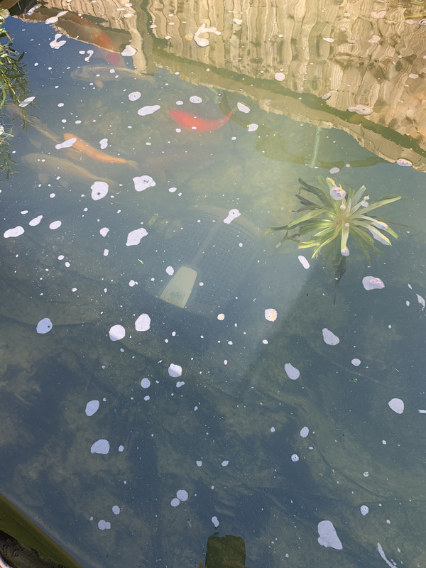 C4CDFF44-BF0E-4F80-BF2B-BF9CECDFBCC7