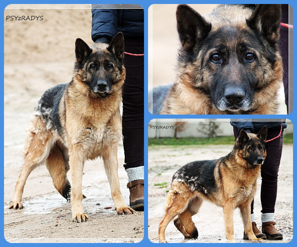 BeFunky-collage (27)