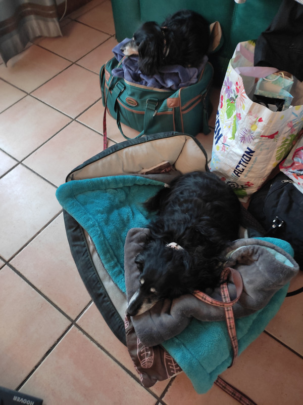 [Image: IMG-20211223-092829.jpg]