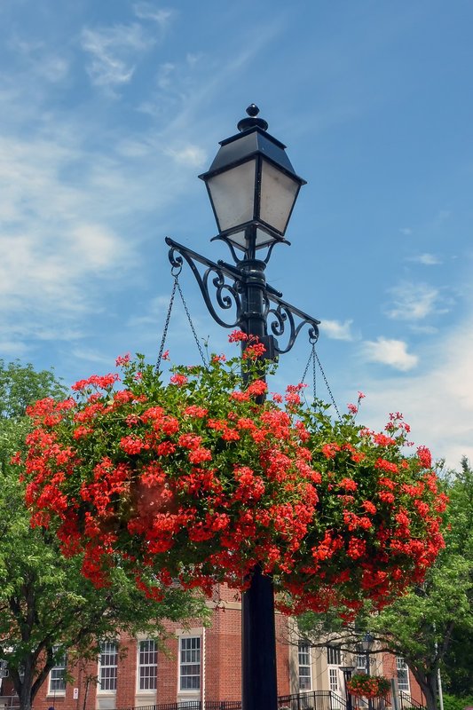lamp-street-lamp-4822318-1280.jpg