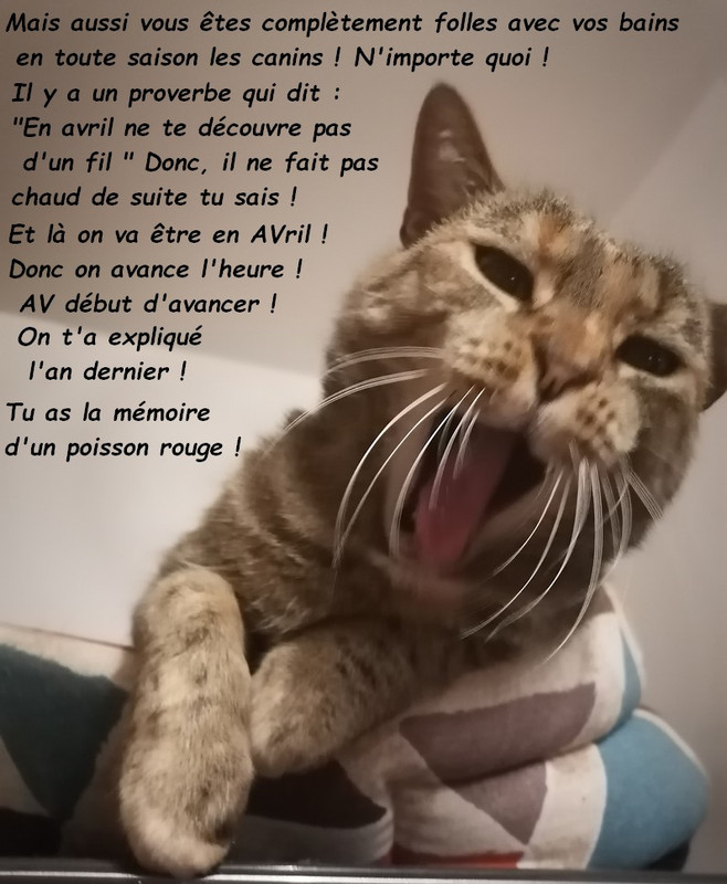 IMG 20211030 211716bb