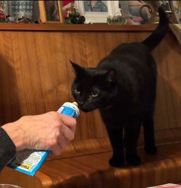 Screenshot 20260129 041601 Gallery