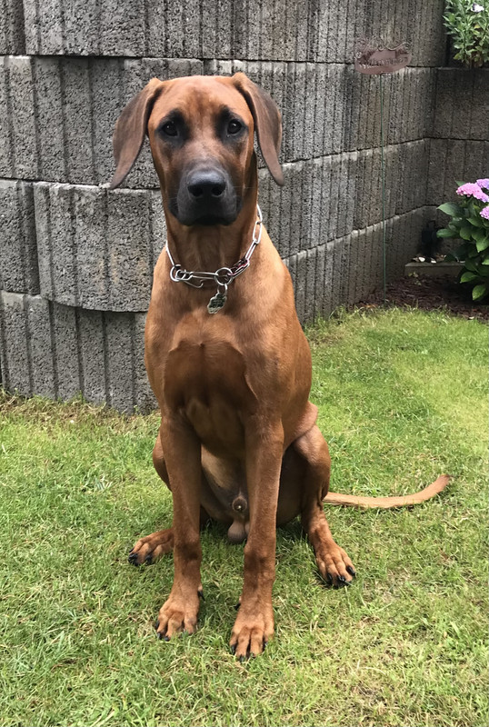 5DA74FCF-3667-4D1B-9C66-F31ABA322FE5