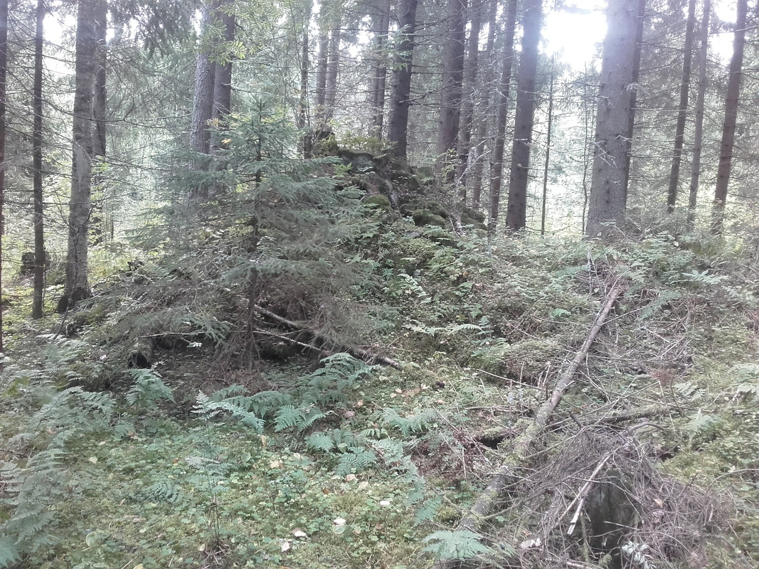 20160829_113049