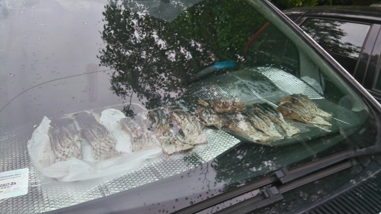 image-0.02.01.88a2f3724cfb4dec5f3f0fca79a230cbc0