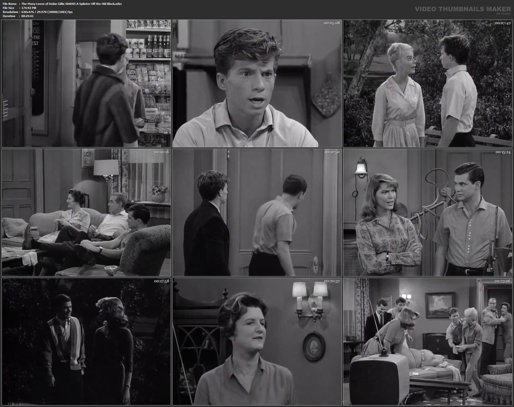 The Many Loves of Dobie Gillis S04E05 A Splinter Off the Old Block.mkv