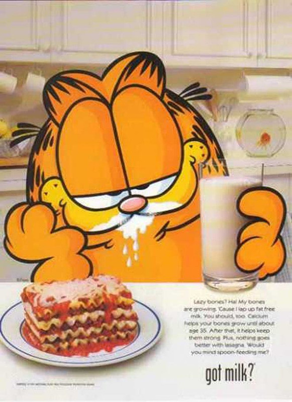 Apparently-Garfield-likes-wash-his-lasag