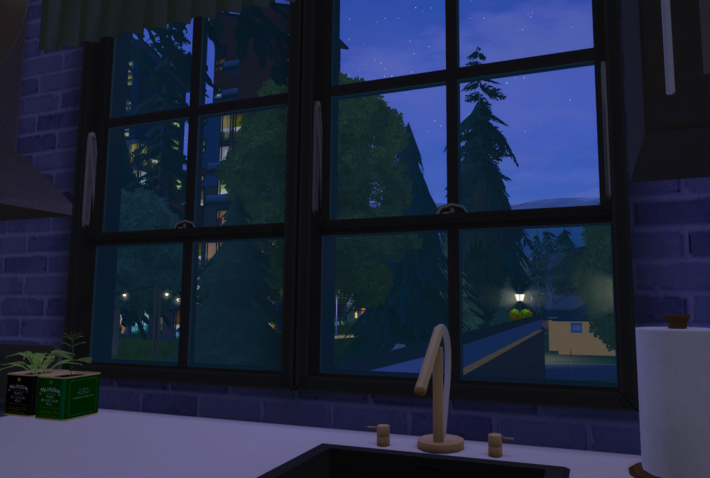 Sims2-EP9-RPC-2021-11-16-20-06-53-03