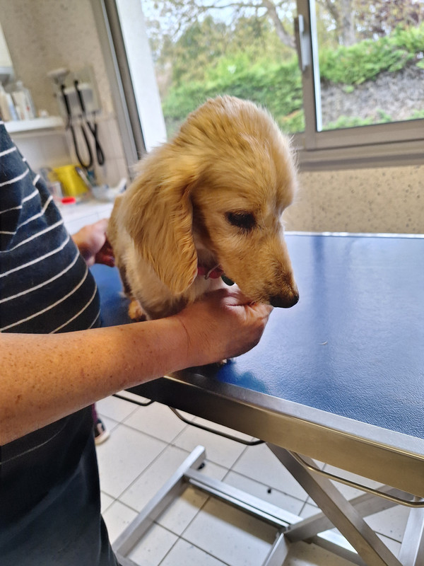 [Image: 20240419-172336.jpg]