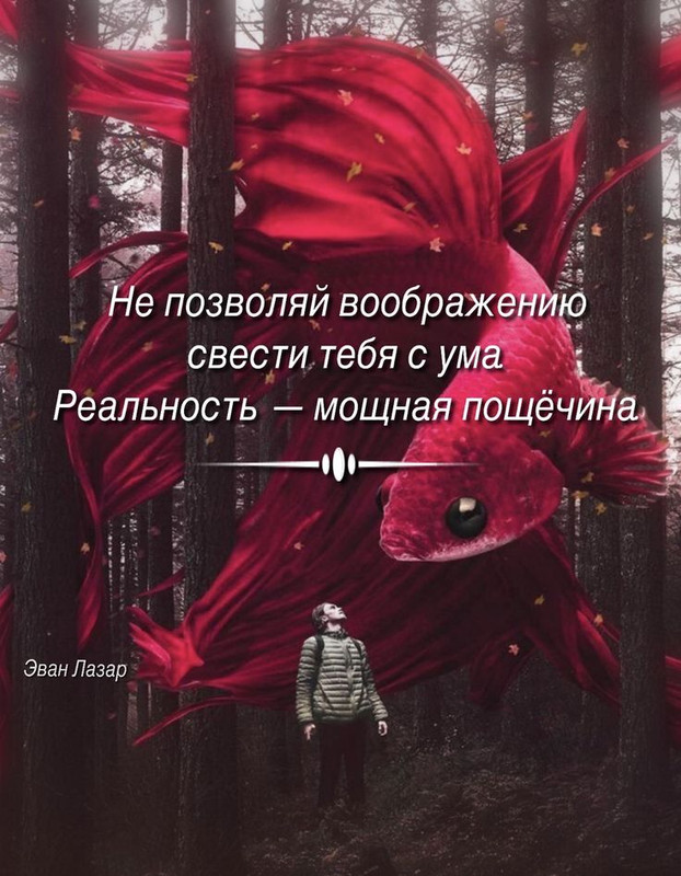 [Изображение: ca4febae74dc862c78071f109985ba37.jpg]