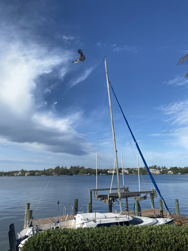 53498C3A-EF1F-4220-9D85-026ADC36842E