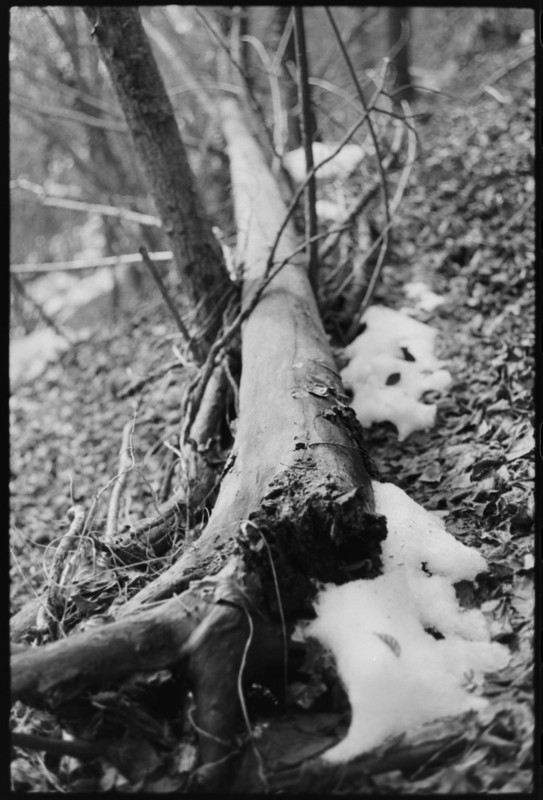 Leicaflex Standard_01gen2022_08 (869x1280)