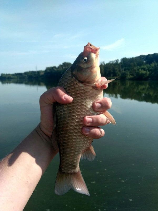 photo_2021-08-24_14-28-09 (2)
