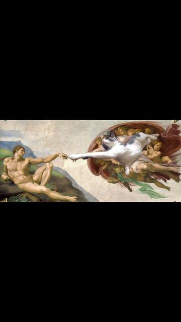 E1557-D11-E10-F-4701-A8-A3-615-F783-C173