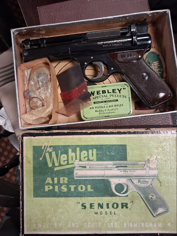 8dfdde09 f2e8 4ea1 90c9 7b1740a7f839 1 all 10459