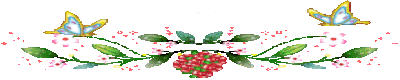 13152953f5-Xal-Yt-O.gif