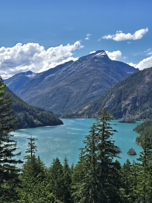 image000002(16)