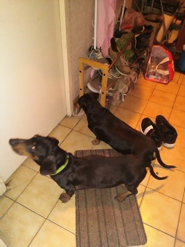 [Image: En-Attente.jpg]