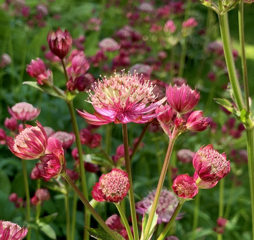 EC3922DC-3381-4A2D-B90A-1C1E830BEF2F