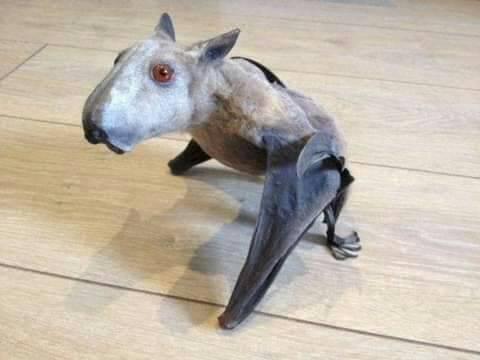 ���� ���� ������ �� ���� ������