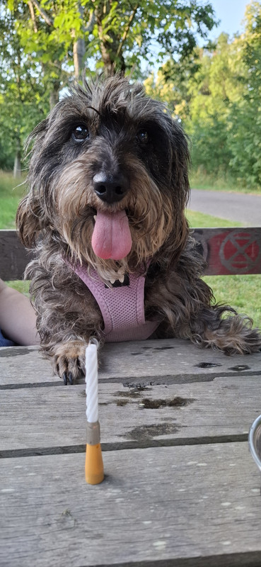 [Image: 20250624-205236.jpg]