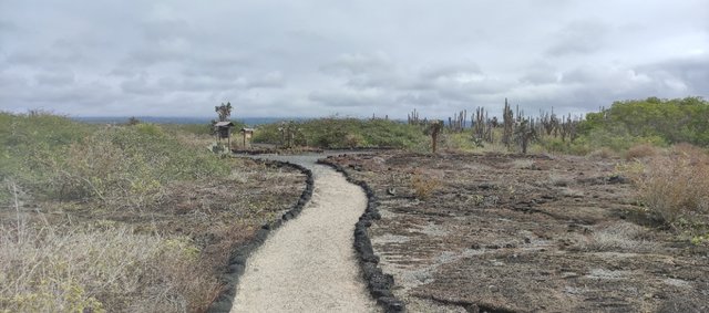 Día 8 (26 de junio): Muro de las Lágrimas y Concha Perla - Galápagos 2022 (1)