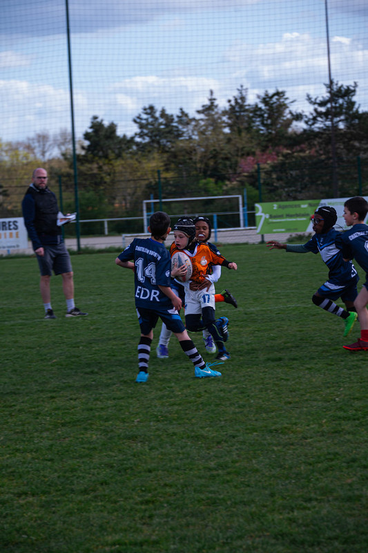 tournoi-de-latlantique-2026-adonis-griffon-103-55180400247-l