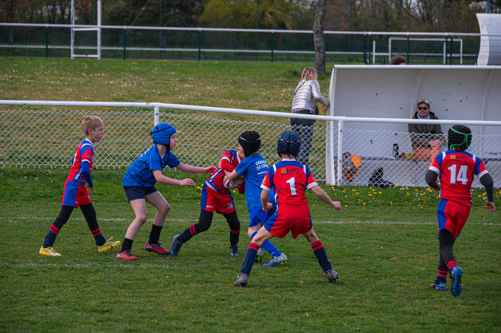 tournoi-de-latlantique-2026-adonis-griffon-114-55181692555-l