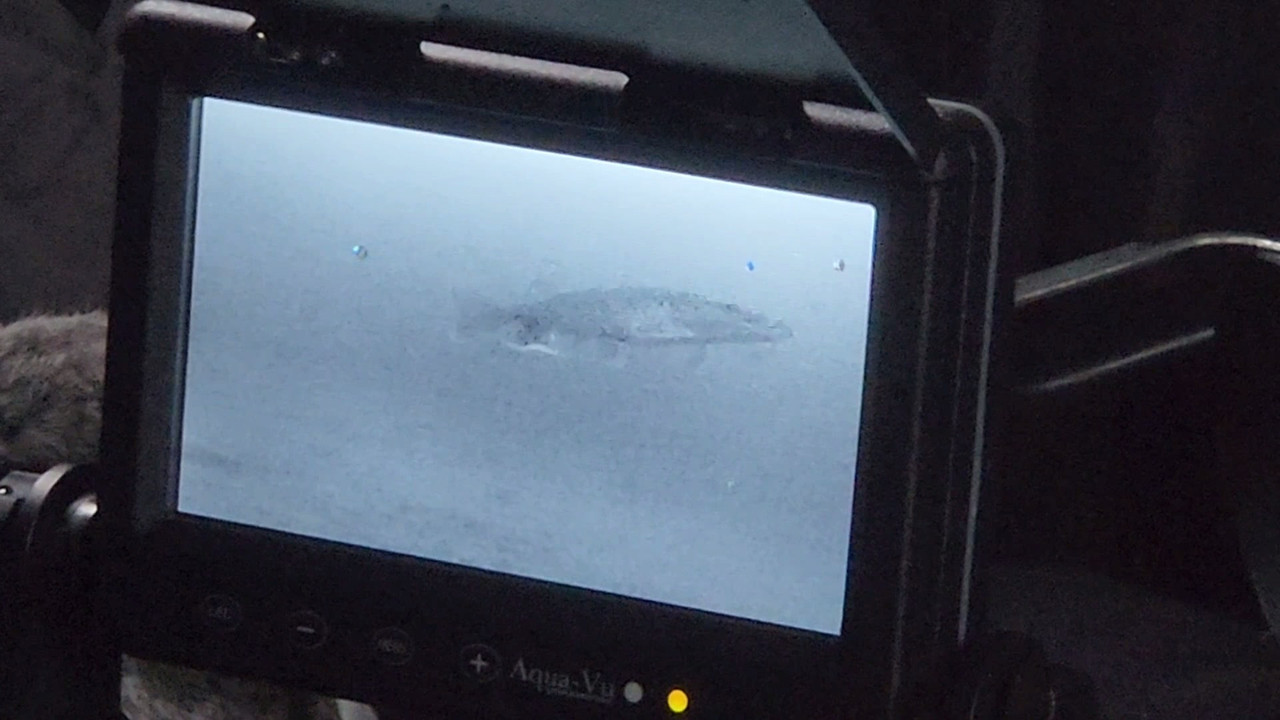 VideoCapture_20230122-195117