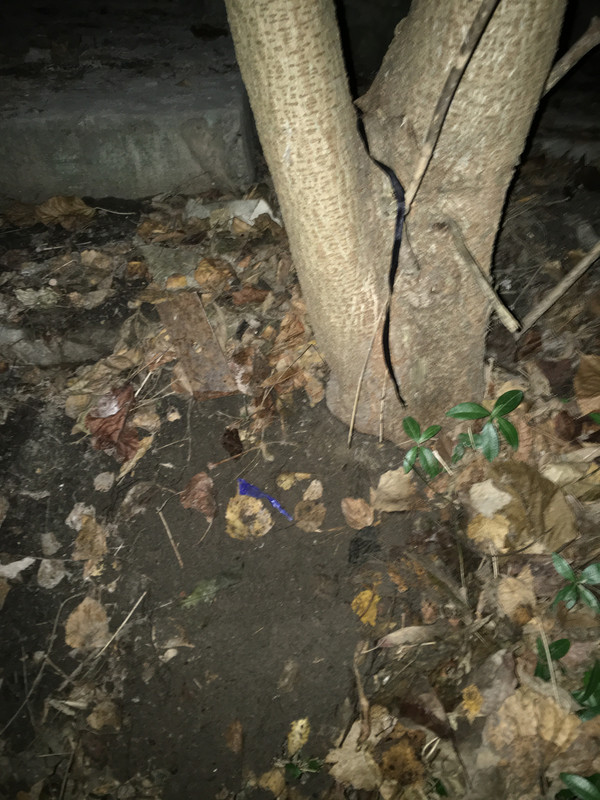 A1AF5402-001B-4A8C-8ECA-8CAEA3FC3A8A