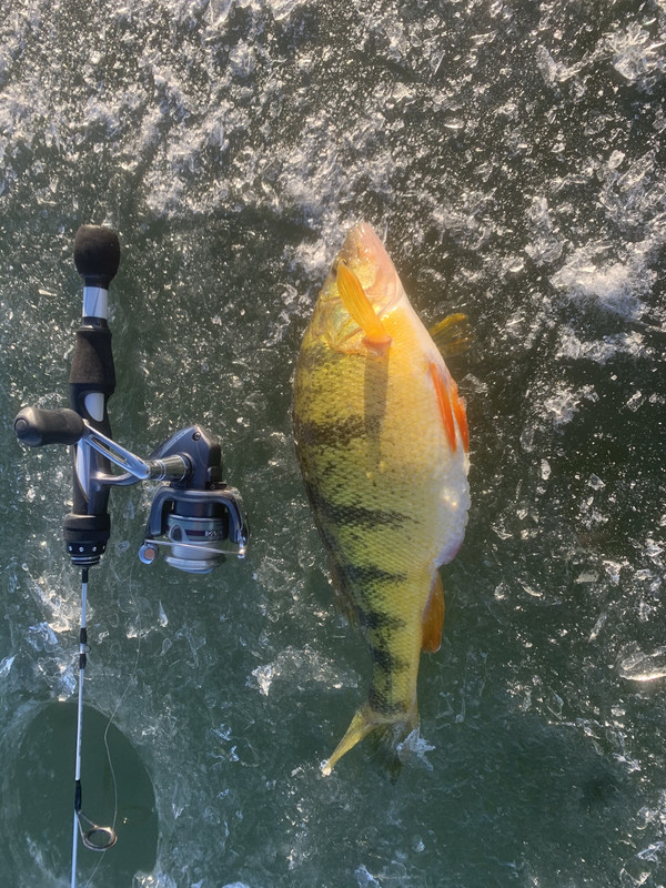 F40E8747-9C95-4D5B-B7B3-C07B5930D58D