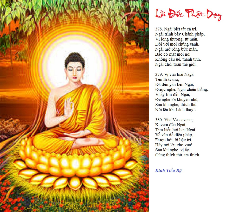 [Image: LDPD-2-28-2025.jpg]