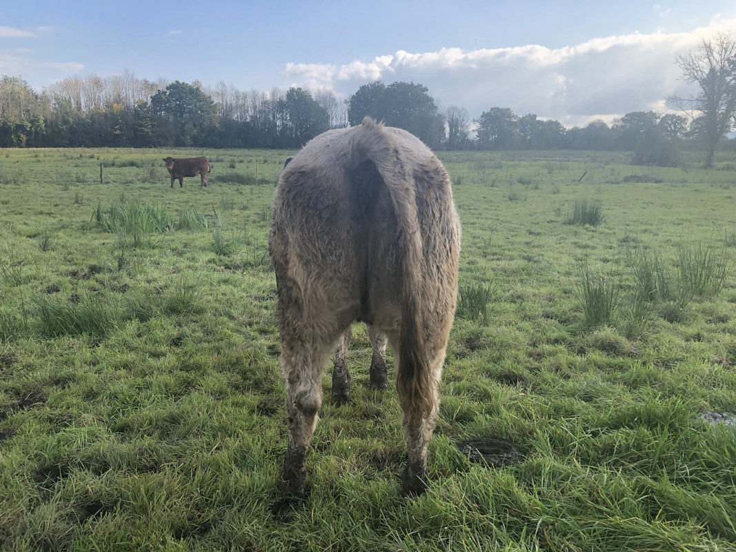 86695E01-E523-4096-8312-A9ADD2BA05CB