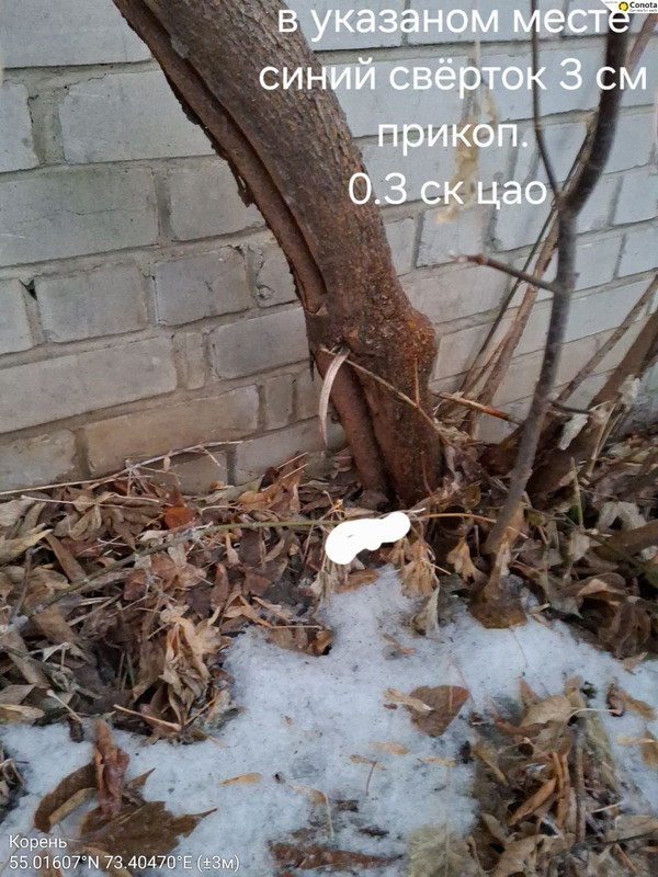 photo 24 2025 11 26 07 29 07