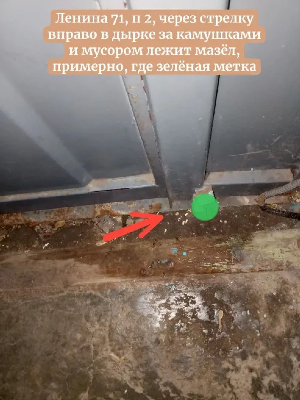 Без названия (16)