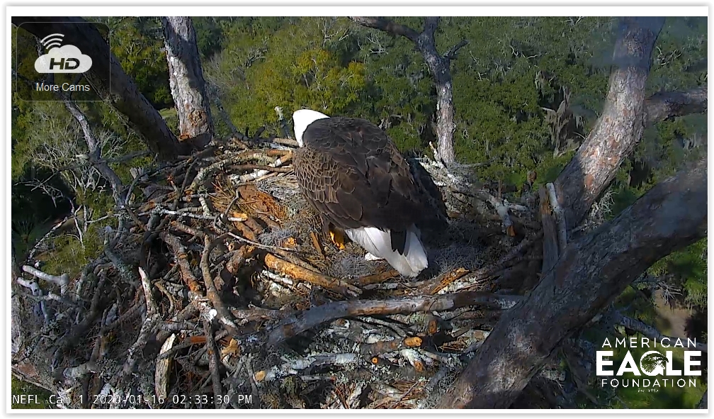 Screen Shot 01-16-20 at 08.34 PM