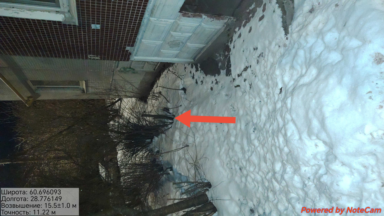 20260202 203526 edit 428049055218221