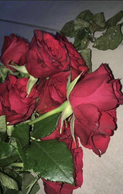 67DEDFFC-BF97-4030-96EA-88B87FB01B6A