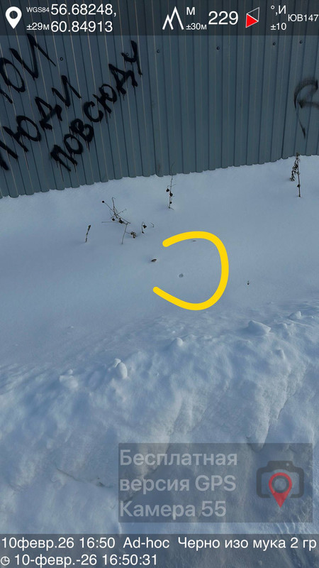 photo 2 2026 02 10 14 44 19