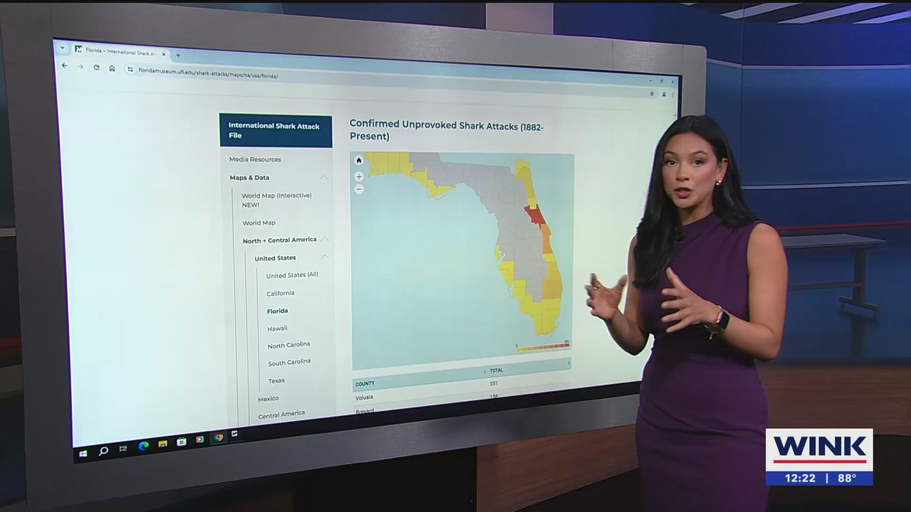 06.10 - 17.00.00 - The WINK Noon News  ᴺᵉʷ. Midday news update..ts_snapshot_28.47.551